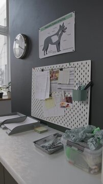 Vertical shot of desk with sterile gloves, documents and medical tools in tray, with anatomical dog chart and pegboard on wall in veterinary clinic