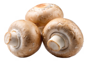 Button Mushrooms isolated on a transparent background.