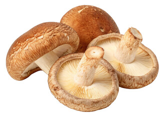 Fototapeta premium Shiitake Mushrooms isolated on a transparent background.