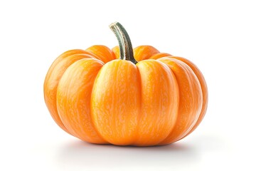 Obraz premium Small Orange Pumpkin for Studio Shot.