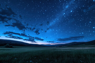 Fototapeta premium Field with shimmering stars scattered across a vast, dark sky, illuminating the serene landscape.
