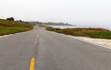 Coastal landscape in California