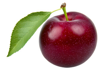 Fresh red plum with water droplets isolated