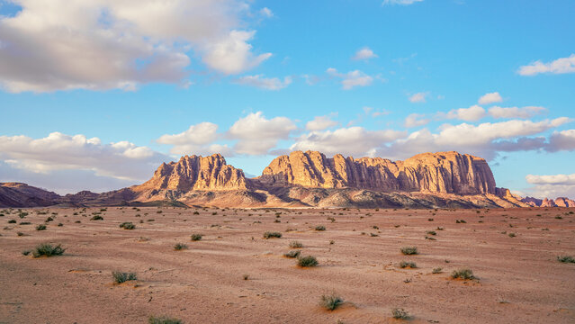 Afternoon sun shines to Wadi Rum desert, few green shrubs growing on red sand ground in foreground, rocky mountains background