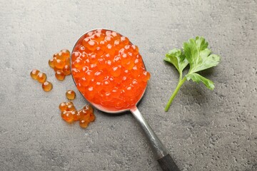 Tasty red caviar in spoon and parsley on grey table, top view