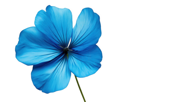 Vibrant Blue Flower in Focus