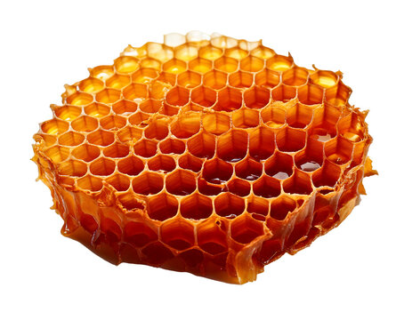Honeycomb structure isolated on transparent background