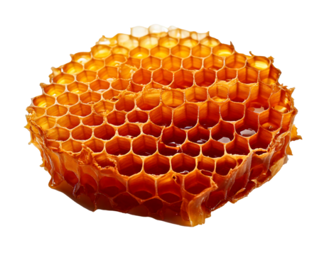 Honeycomb structure isolated on transparent background 