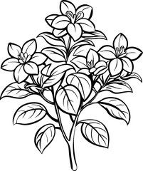 Black and white botanical design intricate floral plant illustration with leaves and blossoms