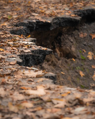 landslide cracks street asphalt in forest with autumns leaves on surface. climate change, global warming, consequence, geological hazard, erosion, aftermath, force of nature concept. 