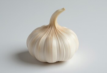 Fresh garlic bulb on a clean white background  