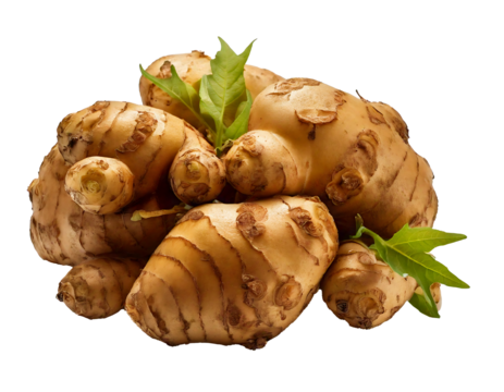 Topinambur isolated on transparent background