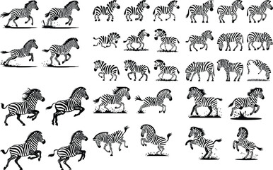 zebra silhouette vector illustration This is a Vector Silhouette of Zebra Zebra black silhouette vector Zebra black silhouette vector