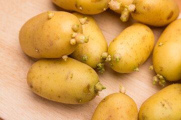 Fresh potatoes developing green sprouts over time
