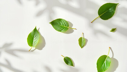 Green leaves scattered on light background