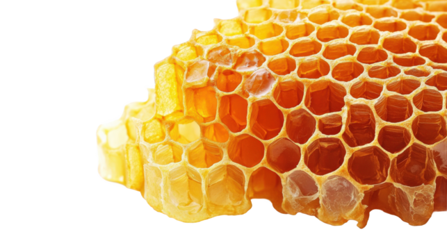 Honeycomb Structure Close-up