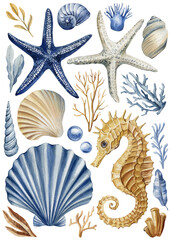 starfish seashell seahorse coral watercolor illustration set, ocean collection isolated, underwater sea nature elements © Hanna