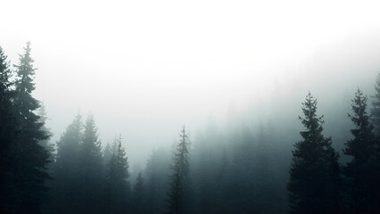 Fototapeta premium Misty landscape with fir forest in hipster vintage retro style