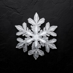 White Snowflake on Black Textured Background