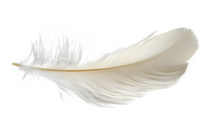 Delicate White Feather in Flight