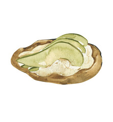 Watercolor Toast with Cheese Cream, Avocado on Transparent Background, Healthy Breakfast Art