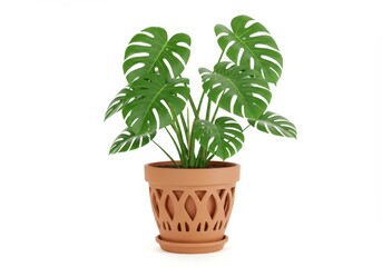 Fototapeta premium A lush green monstera plant in a terracotta pot with cut-out patterns isolated on a white background