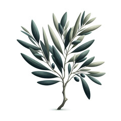 A branch of olive tree isolated on white background