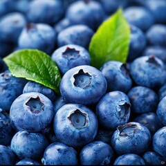 Obraz premium Pile of Fresh Blueberries