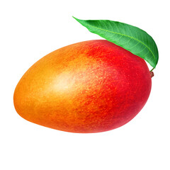 マンゴーのイラスト リアル 白バック