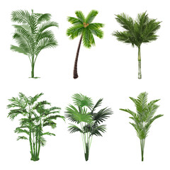 set of palm trees