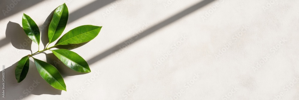 Aufkleber Minimalist Leaf Shadow Art Tranquil Botanical Overlay Exploring Light, Texture, and Biophilic Design for Modern Creative Spaces and Digital Content