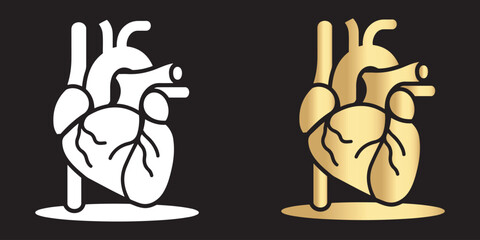 Dual Contrast Anatomical Heart – Monochrome & Gold Elegance