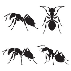 Ant Silhouettes Insect Strength, Teamwork, and Precision in Nature