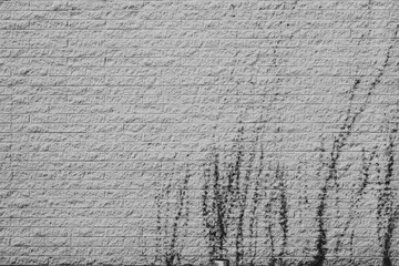 urban brick wall background with vines