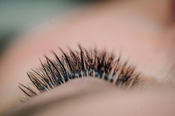 Extreme close-up of a closed eye showcasing thick, dark eyelash extensions in sharp focus, highlighting individual lash details..
