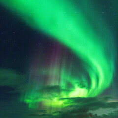 Equinox Aurora and Northern light on the sky, heavenly aurora borealis in green, purple and red over our head! amazing and beautiful, incredible strong dancing lady aurora like a phenix, rays of light
