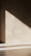 A wide, clean concrete space with a shadow cast on the wall from the sunlight.