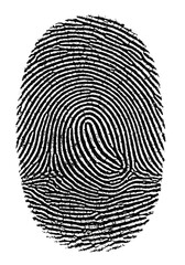 A highly detailed black fingerprint in an oval shape isolated on transparent background