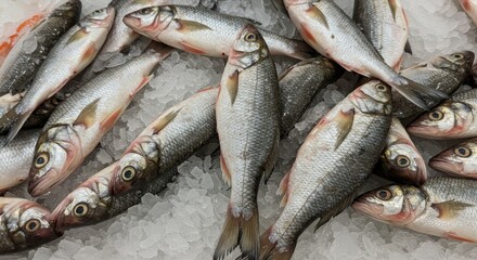 Fototapeta premium Fathead Minnows on Ice at Supermarket - Fresh, frozen fathead minnows displayed on ice at a supermarket. Symbolising freshness, abundance, healthy eating, cold storage, and seafood market.