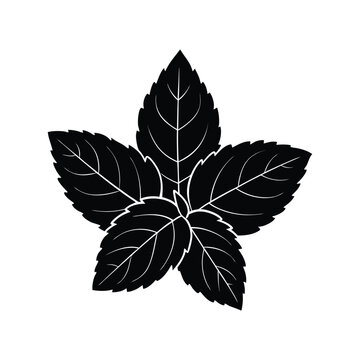 black mint leaves on white background clip art preview