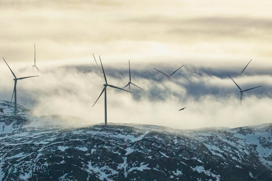 wind park in fog on the snowy mountains from the island of Kval&oslash;ya, Norway, with many wind turbines in clouds. amazing windmills in winter on the coast of the Atlantic produce electricity.