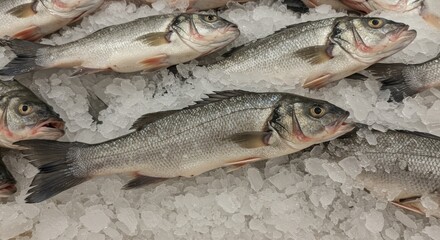 Fresh White Bass on Ice at Supermarket - Fresh, icy-cold white bass arranged on a bed of crushed ice, symbolizing freshness, quality, seafood, market, and deliciousness.