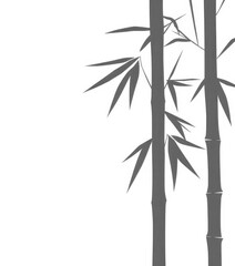 Obraz premium Abstract green bamboo silhouette on white backdrop, minimalist design, branch, wallpaper