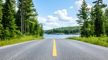 Fototapeta premium Scenic road leading to a tranquil lake nestled in a lush forest under a bright sky