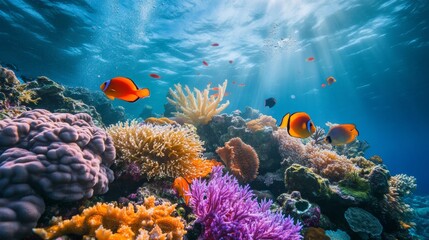 Obraz premium A vibrant coral reef teeming with diverse marine life, promoting environmental awareness. 