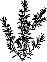 Naklejka premium Potted plant Peace Lily with large leaves, silhouette style, on transparent background. Concept of nature and minimalism