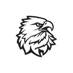 Black and white illustration, stylized eagle head, sharp beak, fierce eye, bold graphic design 