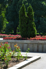 Almaty city summer day in a park. Shade of trees and flowers. Urban outdoors, Satpaev street.