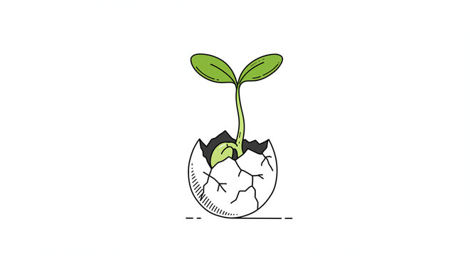 ilustraci&oacute;n de una planta saliendo de un cascaron 