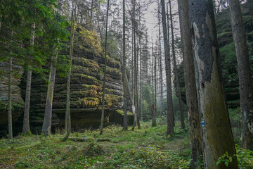 Wanderung von Arnoltice, Felsen im trocken Tal der Kamenice (suchá kamenice) Tschechien